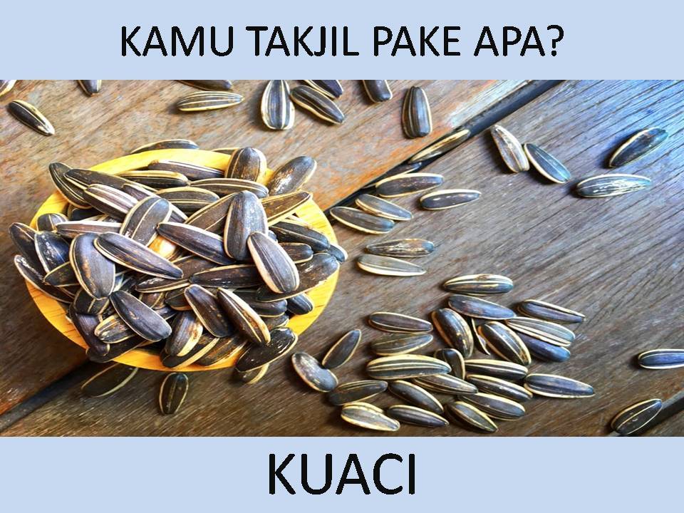 Kuaci
